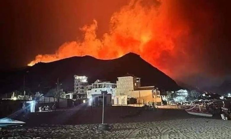 حريق مهول يجتاح غابات "الساكت" في الجزائر