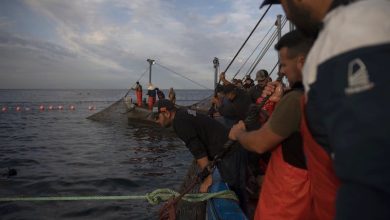 وزارة الصيد البحري تتخلى عن مقترح منح الدفتر المهني للعمال الأجانب بالمغرب