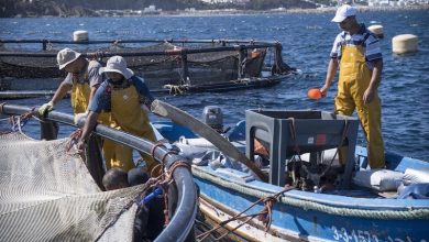 اتفاقية الصيد البحري.. المغرب ينفتح على شراكات جديدة تحترم الوحدة الترابية